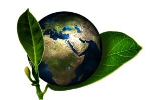 Earth 661447 640 Blog Contabilidade Ambiental - Contabilidade Ambiental