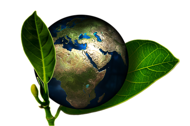 Earth 661447 640 Blog Contabilidade Ambiental - Contabilidade Ambiental